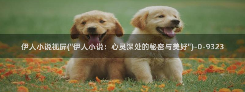 伊人经典女模特艺术视屏：伊人小说视屏(\