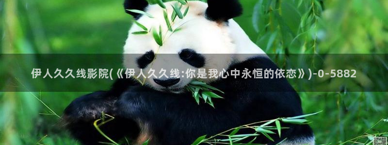 伊人电影影院欧美久久久：伊人久久线影院(《伊人久久线:你是我