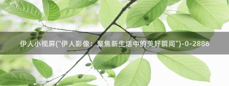 亚洲伊人色综合网视频：伊人小视屏(\