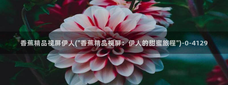 亚洲影院伊人久久久网