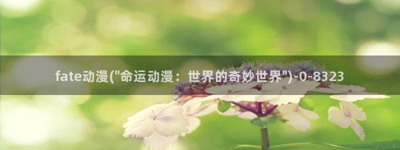宫崎骏动漫：fate动漫(\