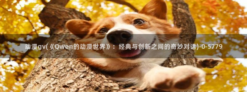 动漫小说