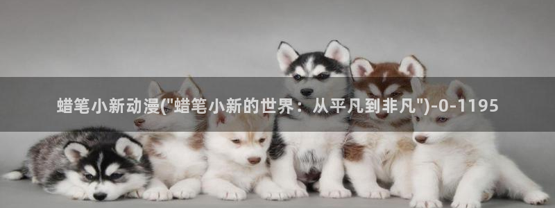 曲奇动漫