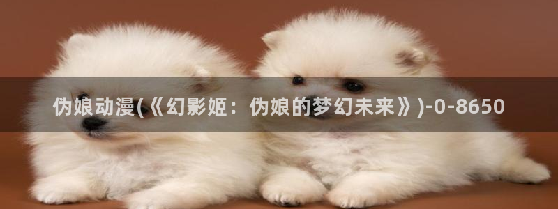 雪鹰领主动漫