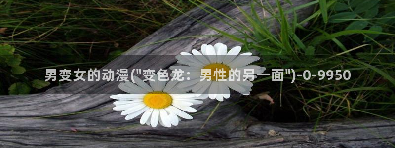 未来日记动漫：男变女的动漫(\