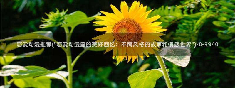 动漫解说